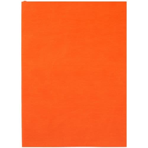Ежедневник Flat Light, недатированный
